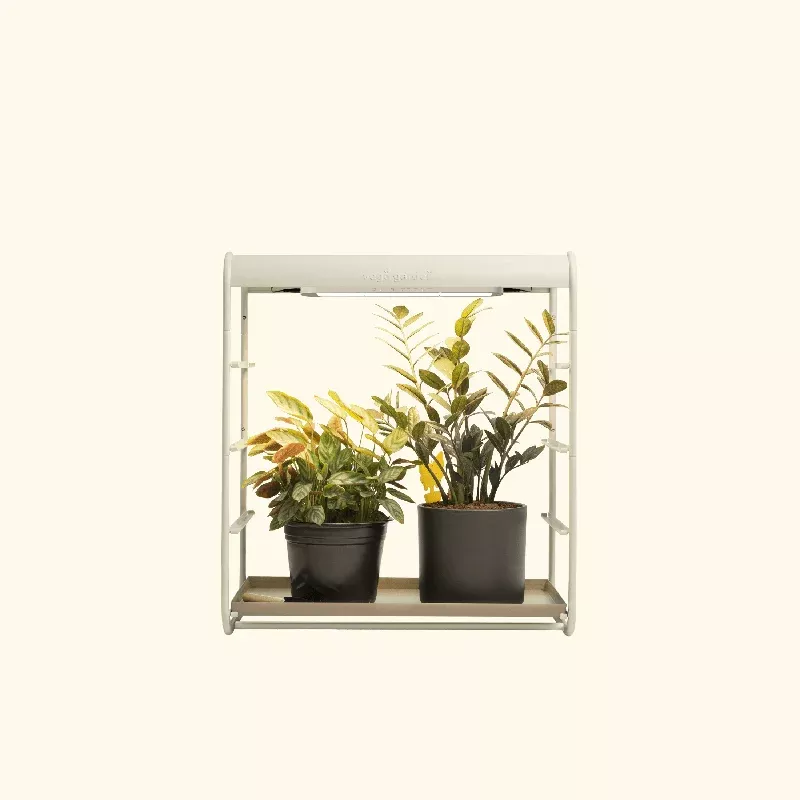 1-tier-tabletop-grow-light-garden 1 Tier Tabletop Grow Light Garden
