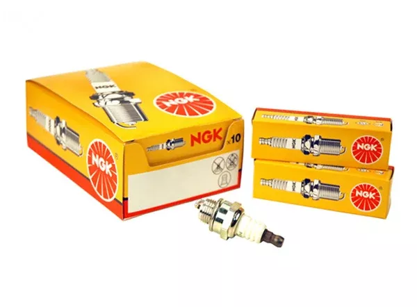 Rotary 13362. SPARK PLUG NGK BPMR8Y Echo A425000000