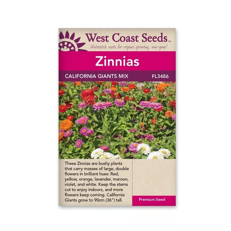zinnias-california-giants-mix Zinnias California Giants Mix