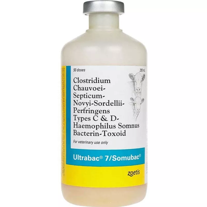 zoetis-ultrabac-7-somubac-50-dose Zoetis - Ultrabac 7 Somubac - 50 dose