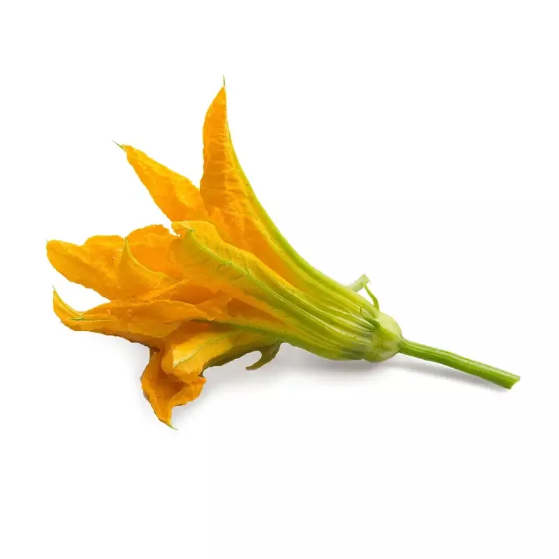 zucchini-flowers-lingot Zucchini Flowers Lingot™